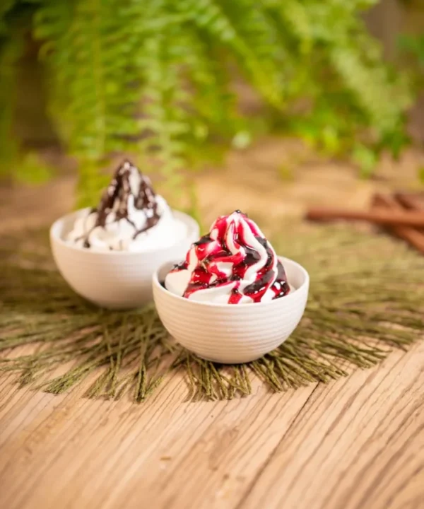 Frozzyo Yogurt Creamy 1.2kg